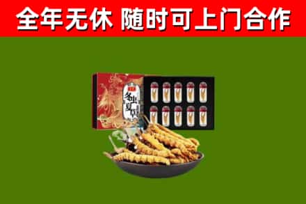 龙南回收冬虫夏草价格